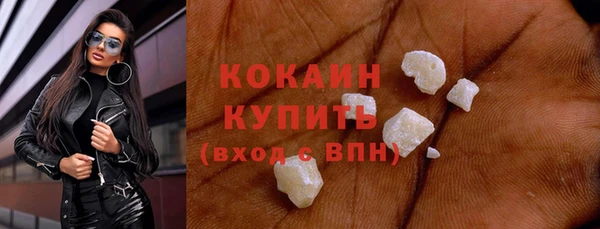 стаф Семилуки