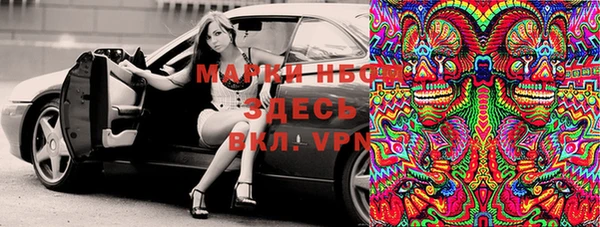 стаф Семилуки