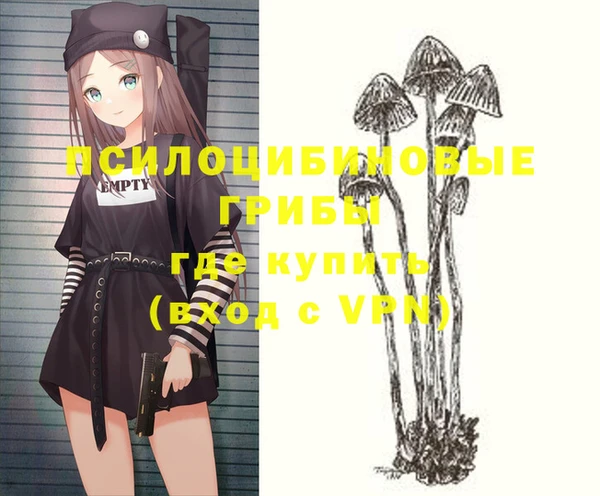 стаф Семилуки
