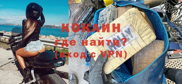 стаф Семилуки